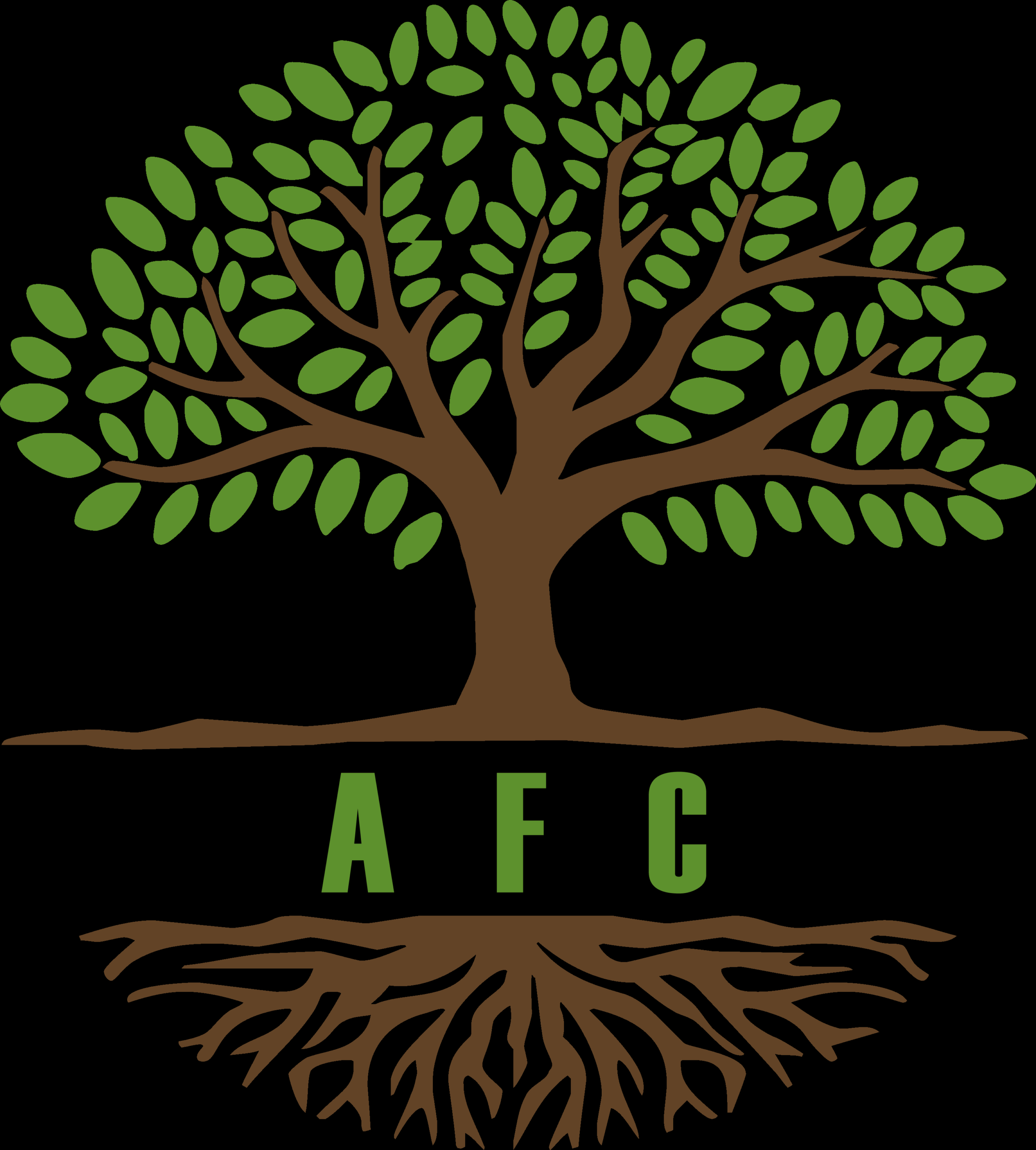 AFC Participações